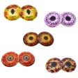 Autumn Inspired Glass Eyes Bundle - 5 Pairs Online Sale