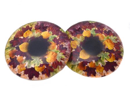 Richly Colored Autumn Leaves Glass Eyes Online now