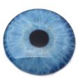 Large 78mm Natural Blue Human Glass Eyes Online Sale