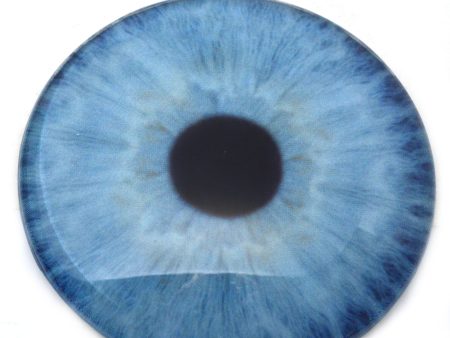 Large 78mm Natural Blue Human Glass Eyes Online Sale