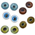 5 Pairs Realistic Human Glass Eye Discounted Bundle II Set of 10 Eyes - Bulk Wholesale - Taxidermy Art Sculptures or Jewelry Making Supply Hot on Sale