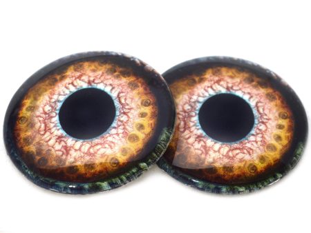 Loch Ness Monster Glass Eyes Online Hot Sale