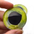 Mahi Mahi Dolphin Fish Glass Eyes Online now