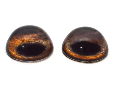 High Domed Medium Brown Dog Glass Eyes Hot on Sale