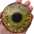 Large 78mm Hazel Human Glass Eyes For Cheap