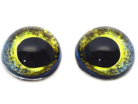 High Domed Moray Eel Glass Eyes on Sale