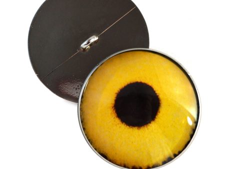 Yellow Sparrow Hawk Sew-On Button Glass Eyes Online Hot Sale