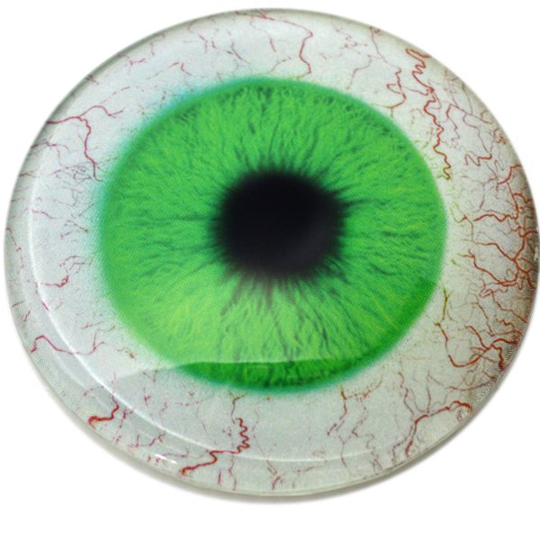 Large 78mm Bright Green and White Human Glass Eyes Online now