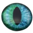 Massive 78mm Blue and Green Cheshire Cat Glass Eyes Online Hot Sale