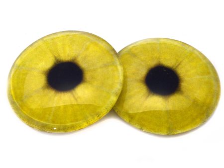 Lemon Slice Yellow Glass Eyes Online