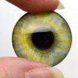 5 Pairs Realistic Human Glass Eye Discounted Bundle II Set of 10 Eyes - Bulk Wholesale - Taxidermy Art Sculptures or Jewelry Making Supply Hot on Sale