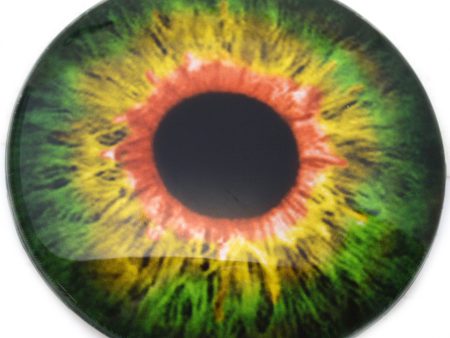 Large 78mm Sensational Green and Orange Glass Eyes Fashion