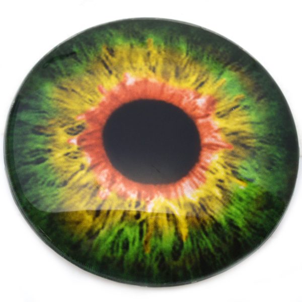 Large 78mm Sensational Green and Orange Glass Eyes Fashion