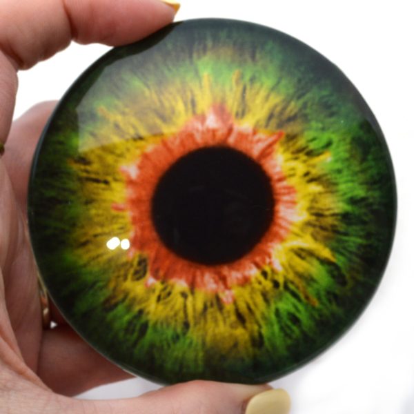 Large 78mm Sensational Green and Orange Glass Eyes Fashion