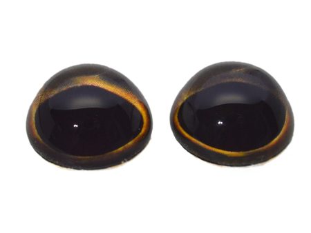 High Domed Yellowtail Dark Fish Glass Eyes Fashion