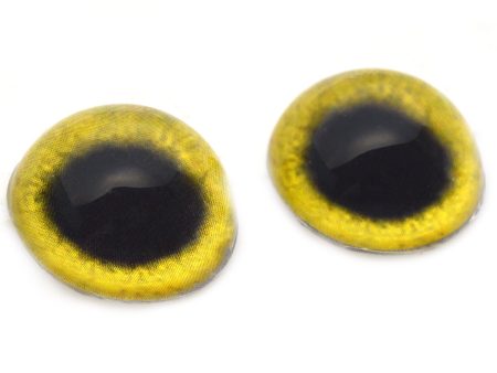 High Domed Yellow Osprey Glass Eyes Fashion