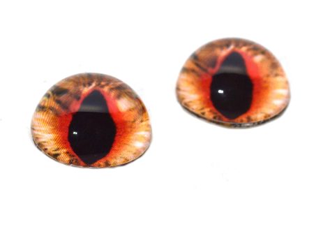 High Domed Orange Fantasy Cat Dragon Glass Eyes Supply