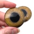 Light Brown Tropical Owl Bird Glass Eyes For Discount