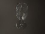 Mark Thomas - Glassware - Double Bend -  Champagne Flute Online Sale